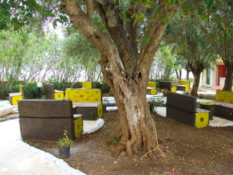 The Holiday Resort Hotel 190921