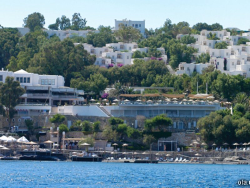 The Hotel Fuga Fine Times 22908