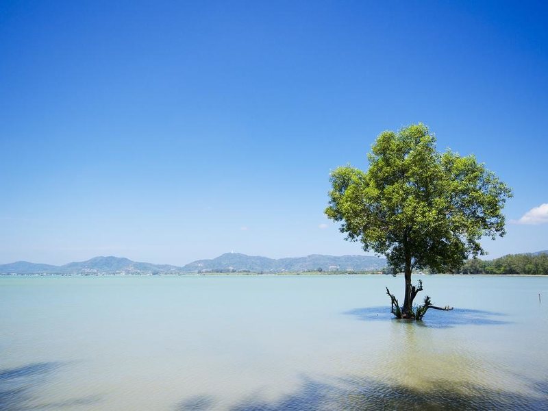 The Mangrove Panwa Phuket Resort 211956
