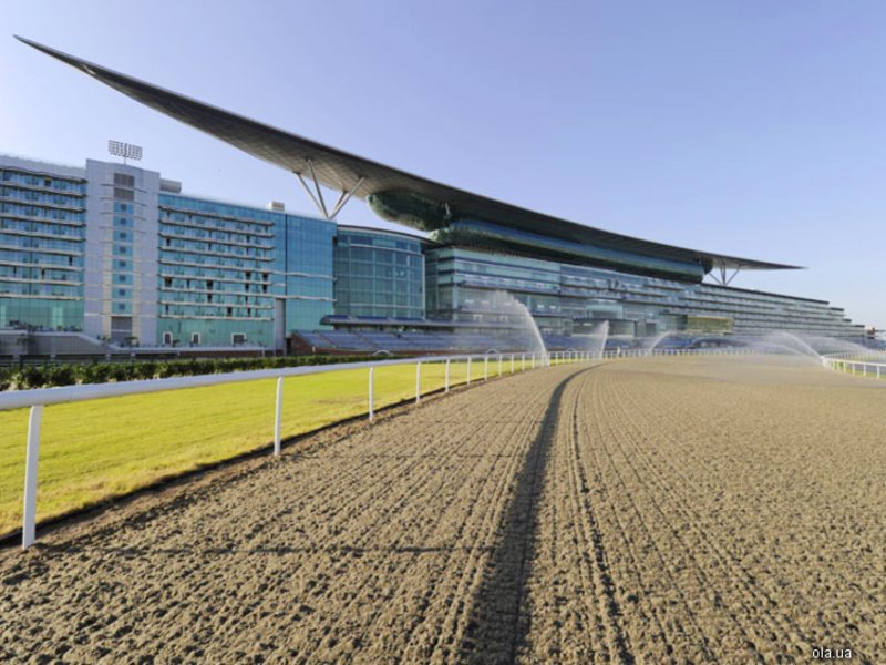The Meydan 14508