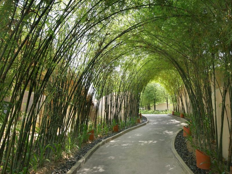 The Naka Island, A Luxury Collection Resort & Spa Phuket 212016