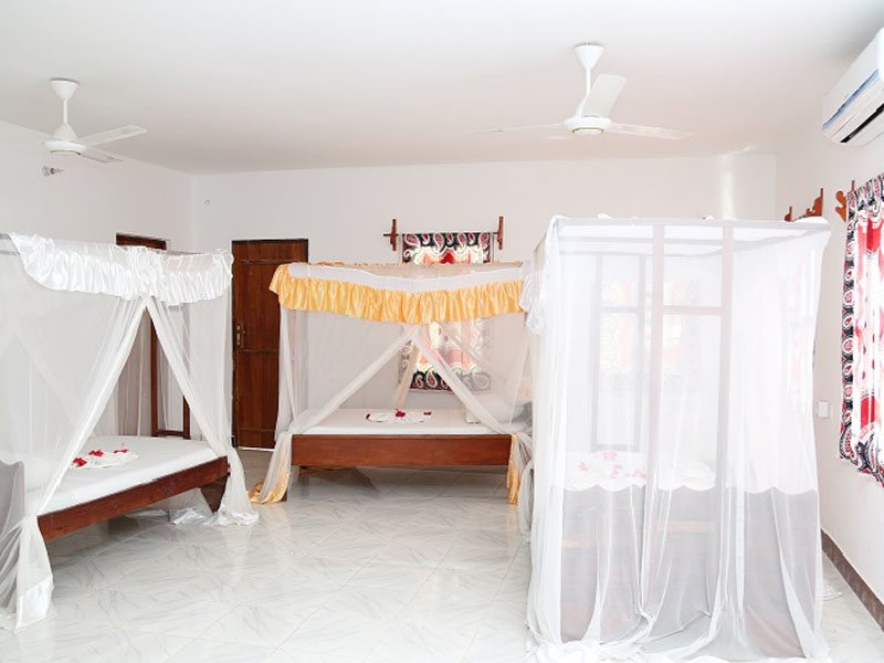 The Nungwi Inn 202721