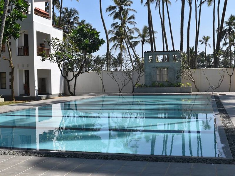 The Privilege 226895