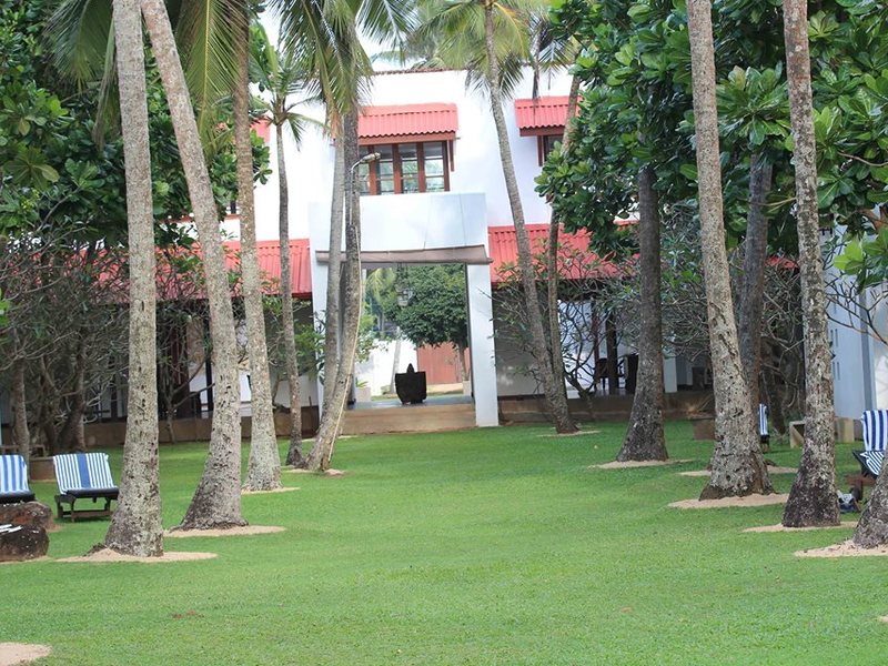 The Privilege 226906