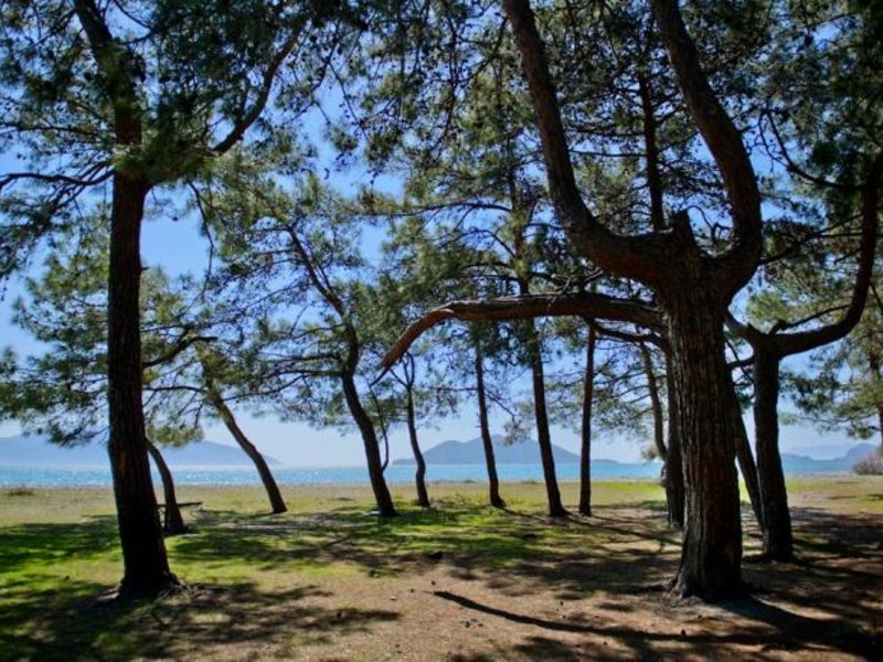 The Residence at TUI SENSATORI Barut Fethiye 302899