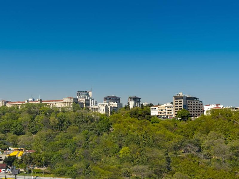 The Ritz-Carlton  Istanbul  296475
