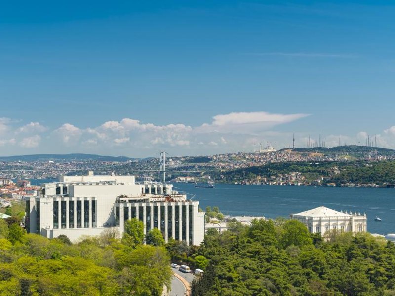 The Ritz-Carlton  Istanbul  296477
