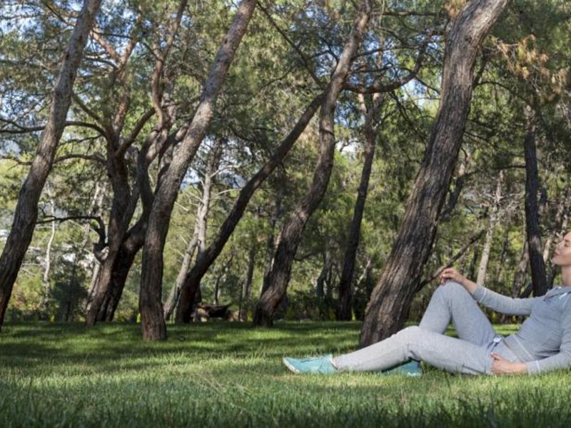 The Roxy Luxury Nature (ех 59463