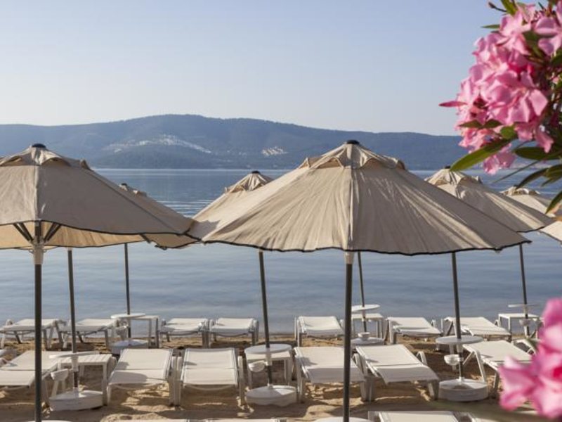 The Roxy Luxury Spa (ex 59487