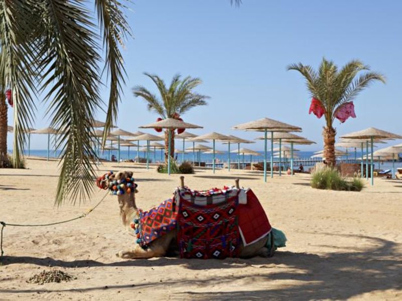 The Three Corners Sunny Beach 130812