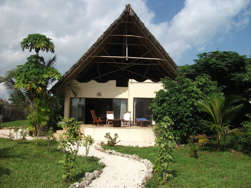 The Zanzibari 202874