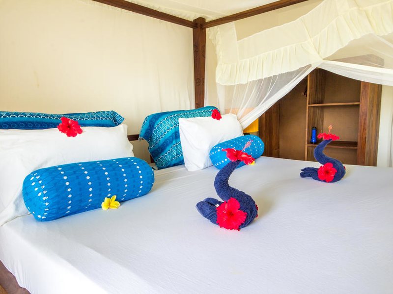 The Zanzibari 202880