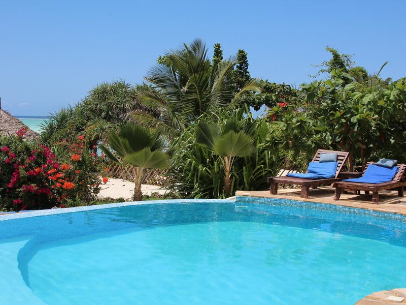 The Zanzibari 202883