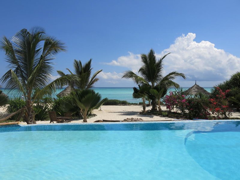 The Zanzibari 202885