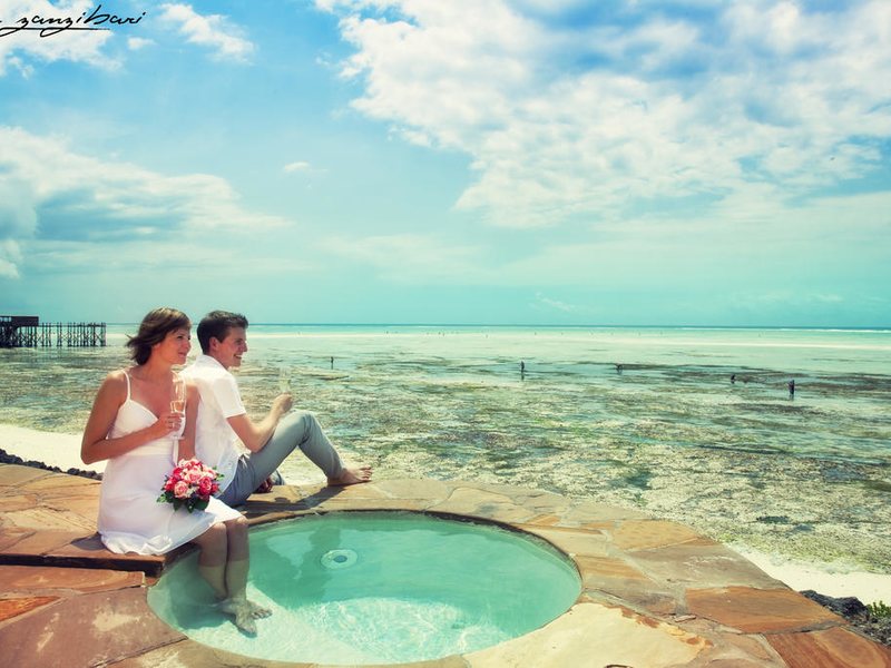 The Zanzibari 202890