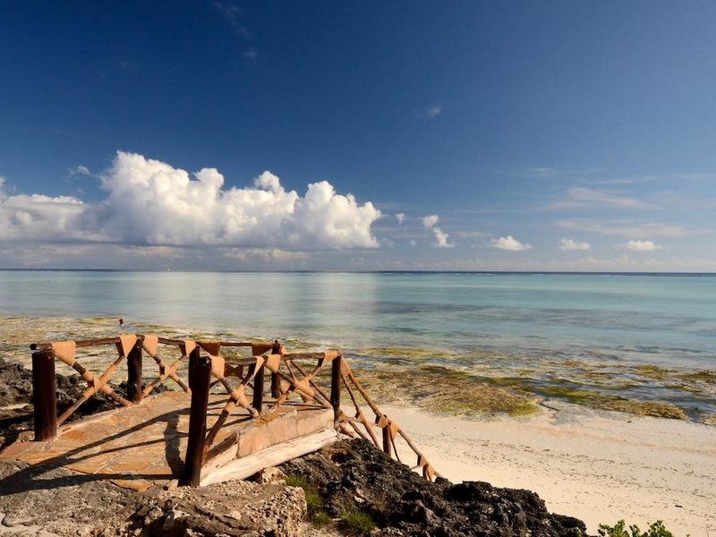 The Zanzibari 202894