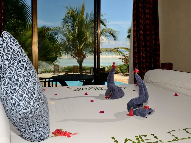 The Zanzibari 202896