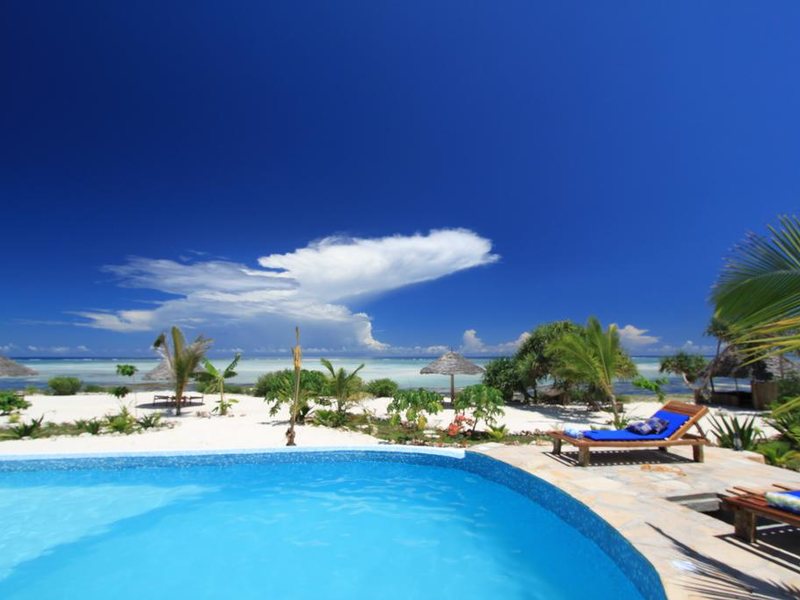 The Zanzibari 202897