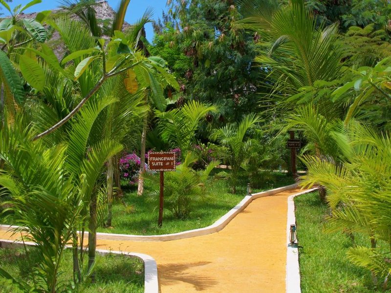 The Zanzibari 202899