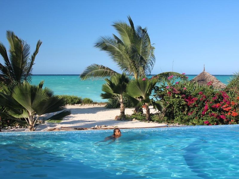 The Zanzibari 202900