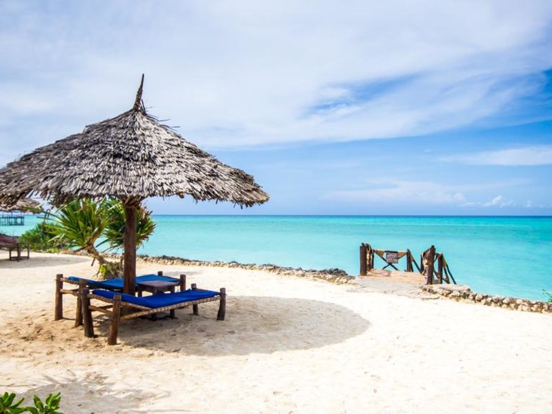 The Zanzibari 202901