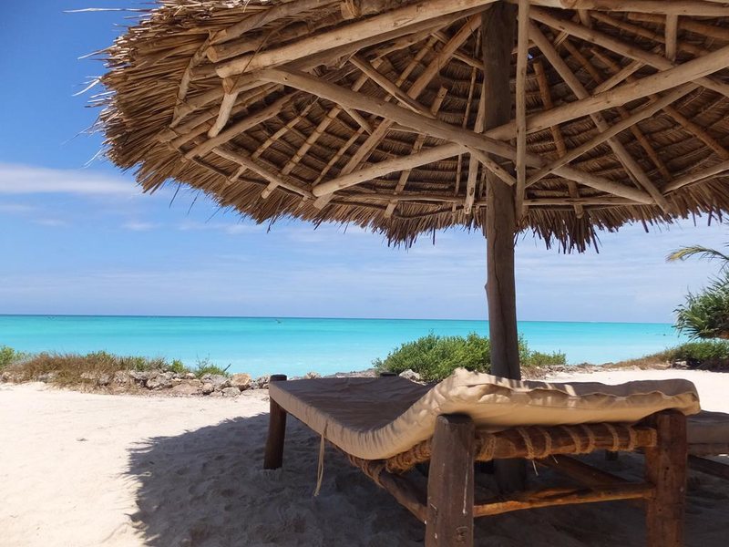 The Zanzibari 202905