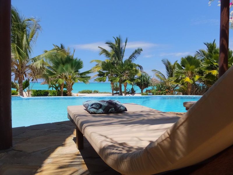 The Zanzibari 202906