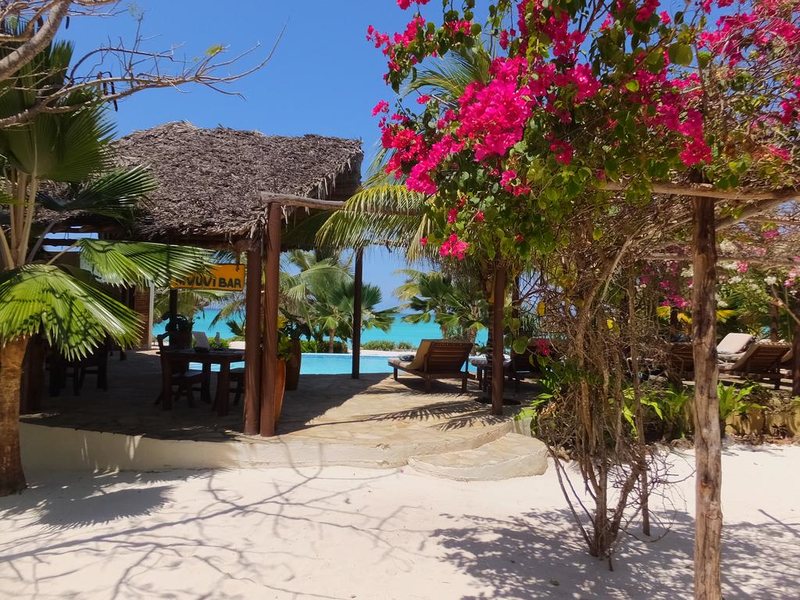 The Zanzibari 202908