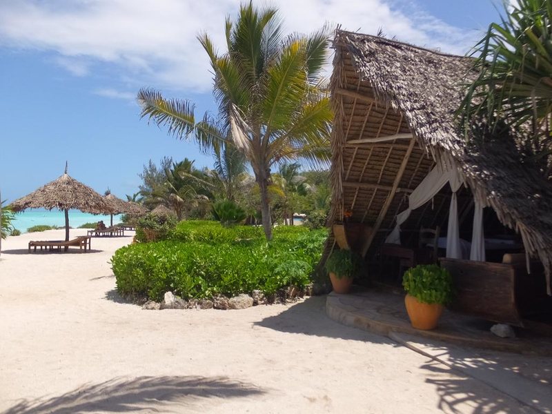 The Zanzibari 202909