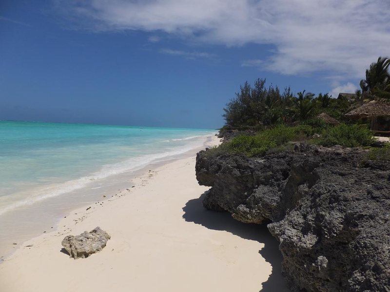 The Zanzibari 202910