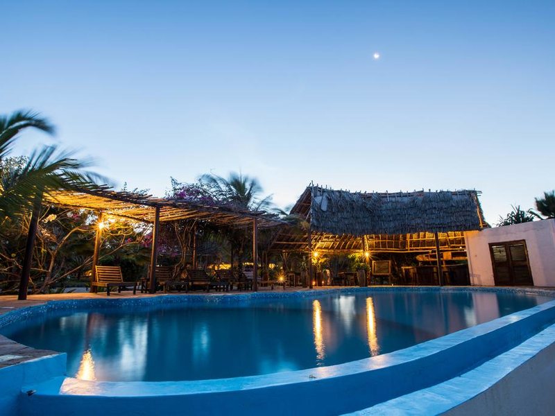 The Zanzibari 202911