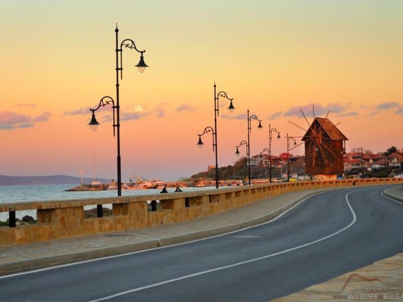 Topalovi Family Hotel-West 178837