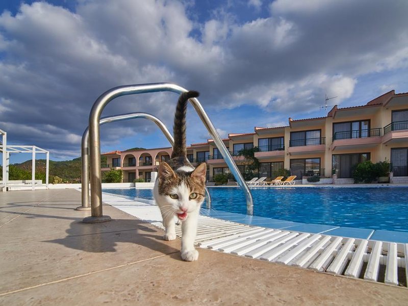 Toroni Blue Sea Hotel 252353