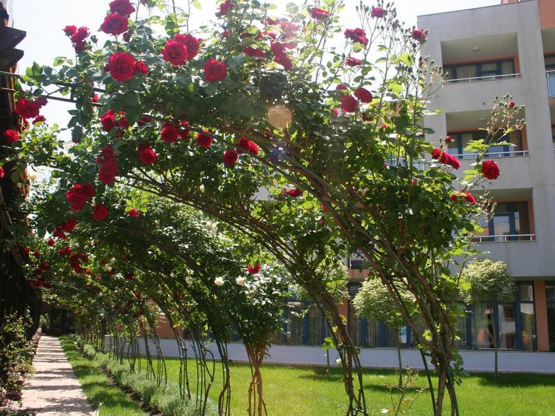 Trakia Plaza  169129