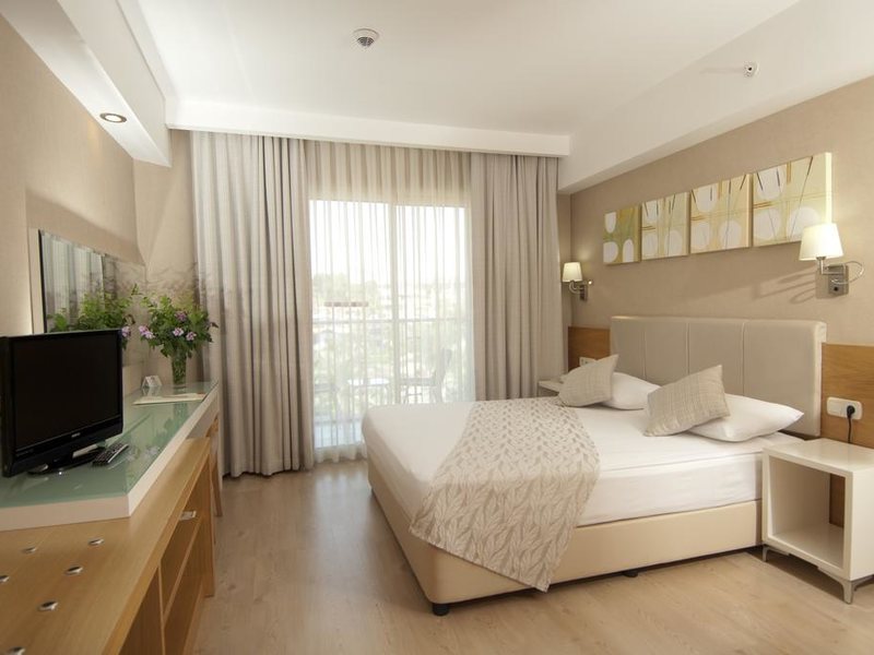 Trendy Palm Beach 187965