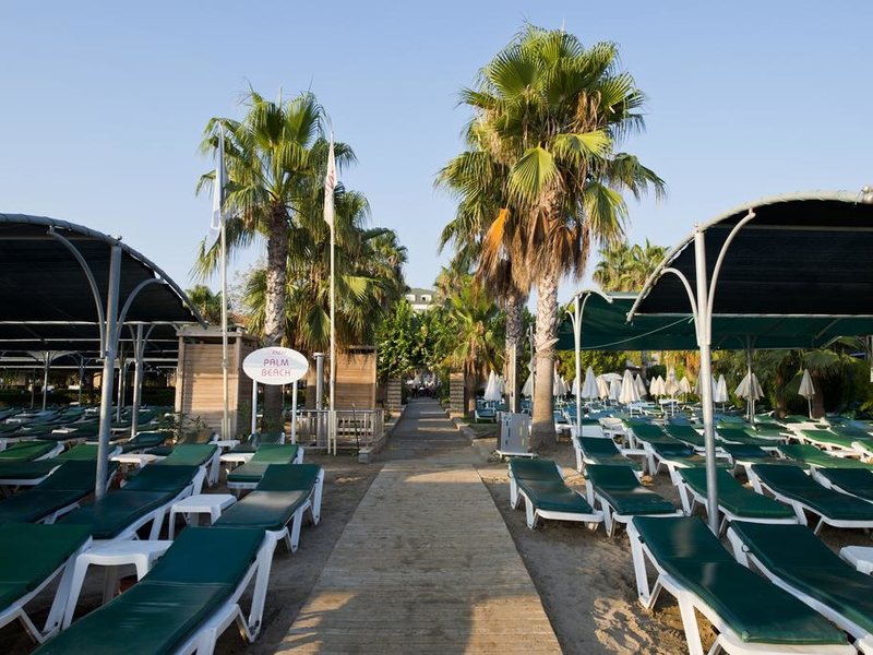 Trendy Palm Beach 187972