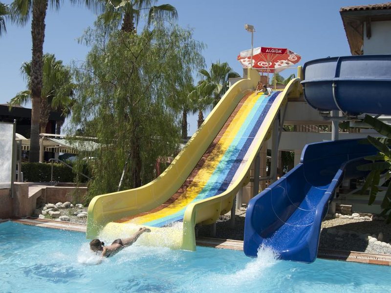 Trendy Palm Beach 187979