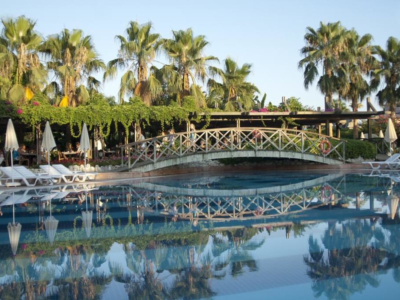 Trendy Palm Beach 187980