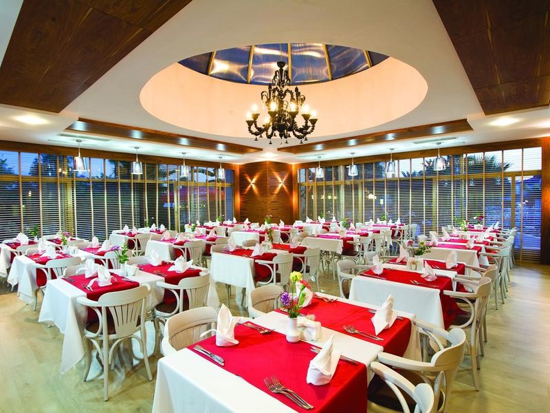 Trendy Palm Beach 187982