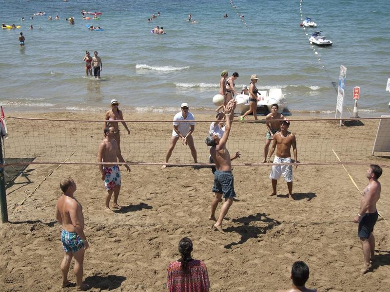 Trendy Palm Beach 187985