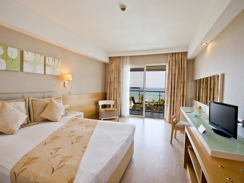 Trendy Palm Beach 187989