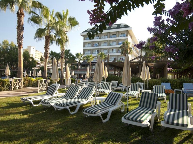 Trendy Palm Beach 187991