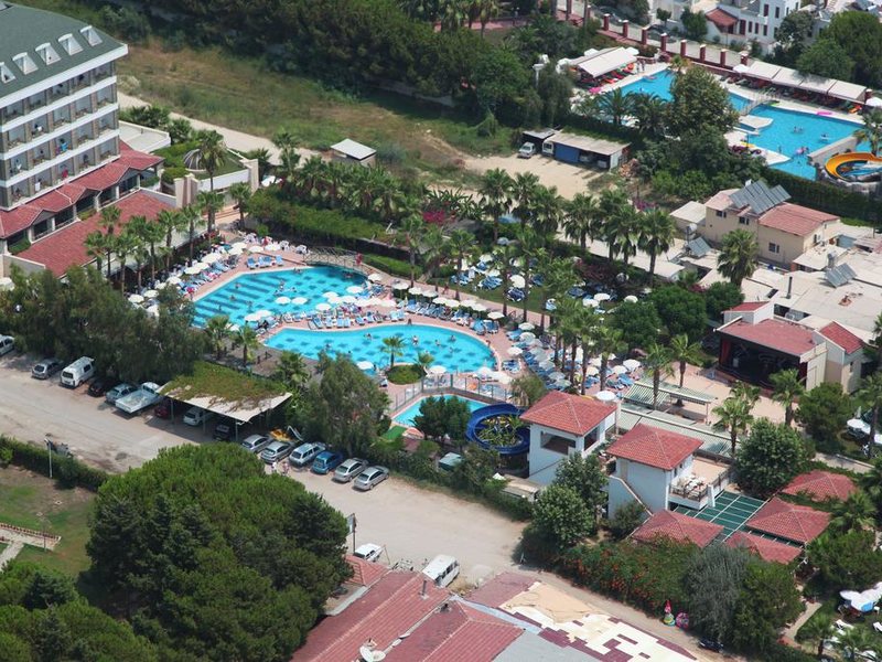 Trendy Palm Beach 187997