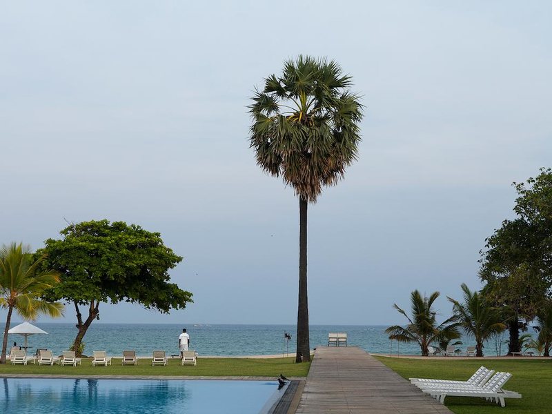 Trinco Blu by Cinnamon (еx 109673