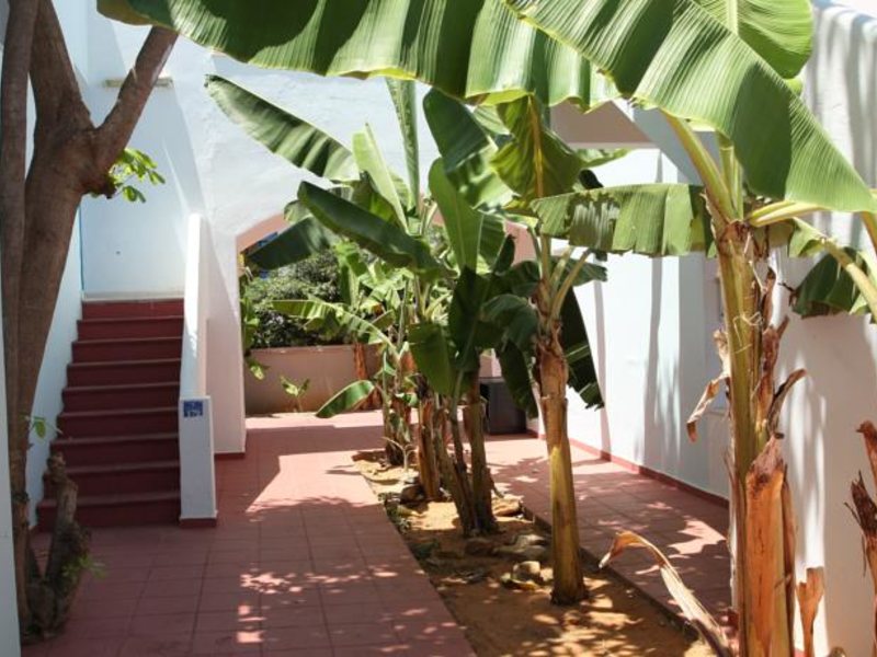 Triton Hotel Malia 79182