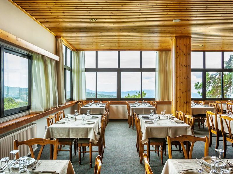 Troodos Hotel 290434