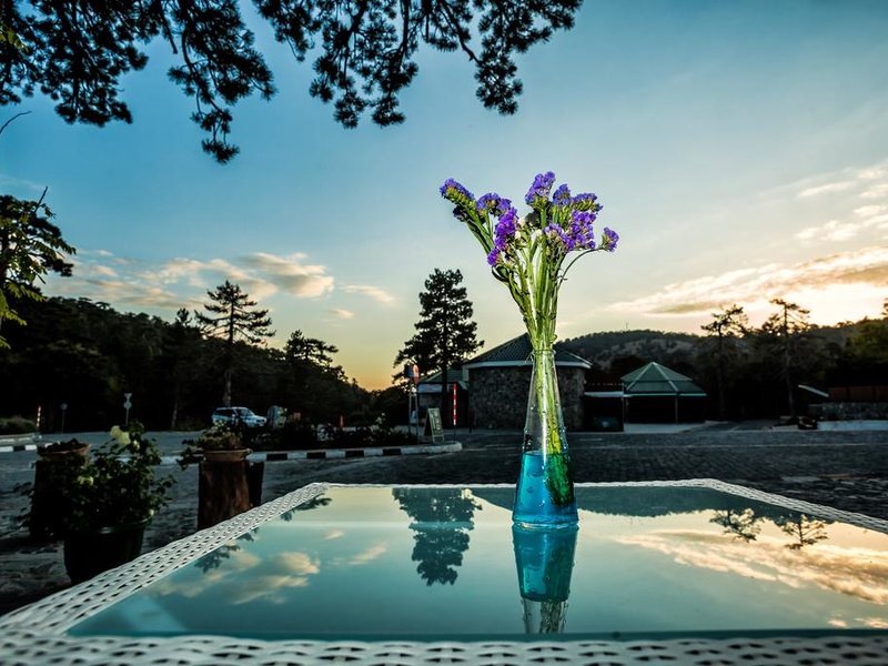 Troodos Hotel 290447