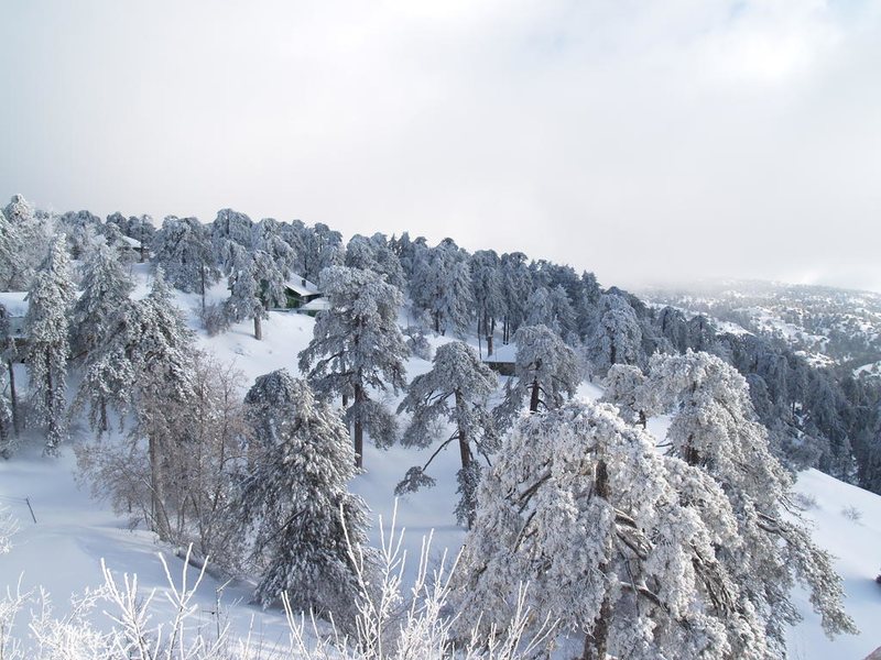 Troodos Hotel 290449