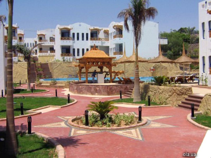 Tropicana Rosetta 19223