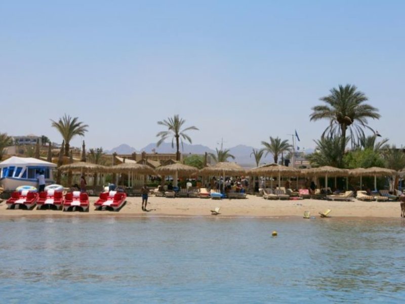 Tropicana Rosetta & Jasmine Club 129740